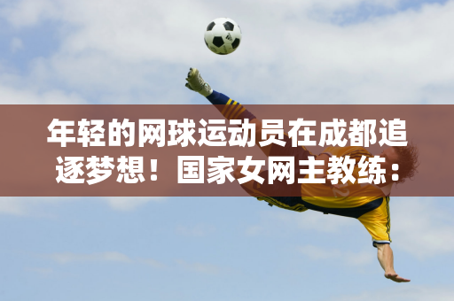汉森林提供 汉森林提供
