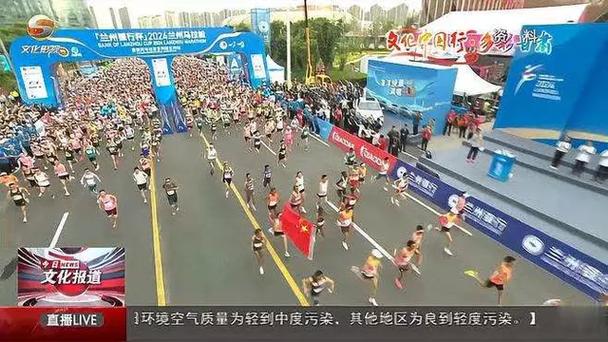 导的 导的
